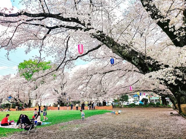 Asahigaoka Central Park - Image 1
