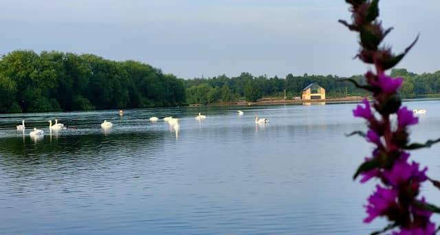 Mill Waters Café & Heritage Centre - Image 1