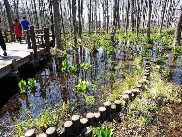 Hoshioki Ryokuchi Park - Image 2