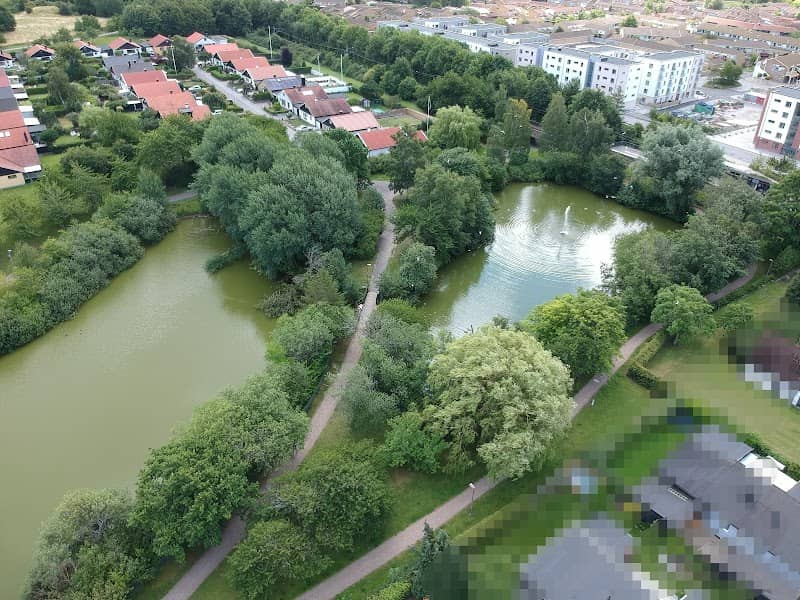 The duck ponds Oxie Kyrkby - Image 1