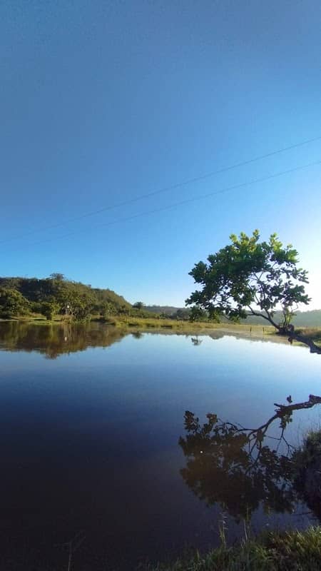 Rio Capivara - Image 1