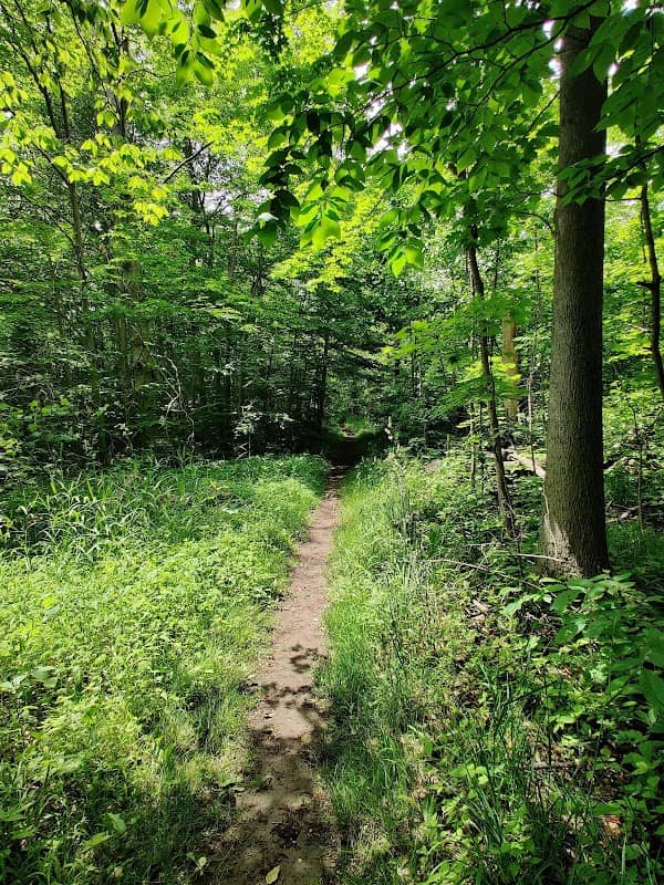 Stuhr Woods Picnic Area - Image 3