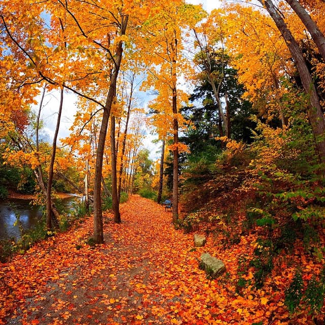 Coronation Park - Image 2