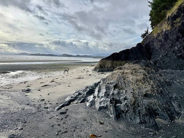Boy Scout Beach Trailhead - Image 1