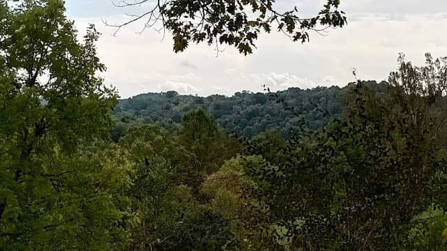 Hungry Beech Preserve - Image 2