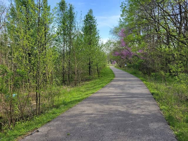 Cicero Creek Walking Path - Image 1