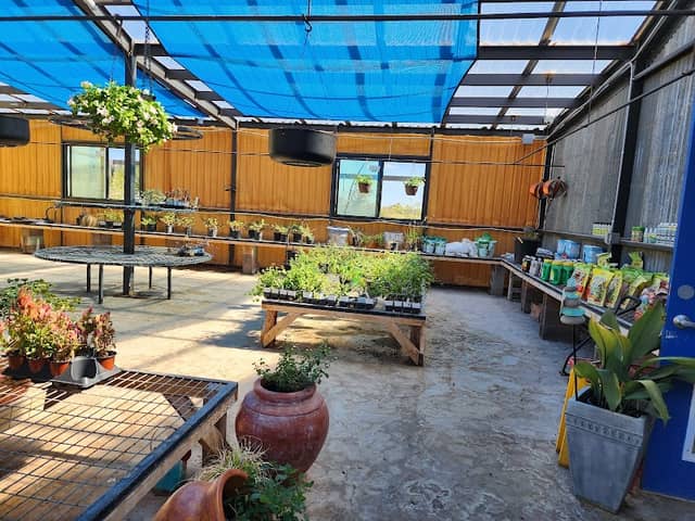 Down to Earth Nursery - Image 2