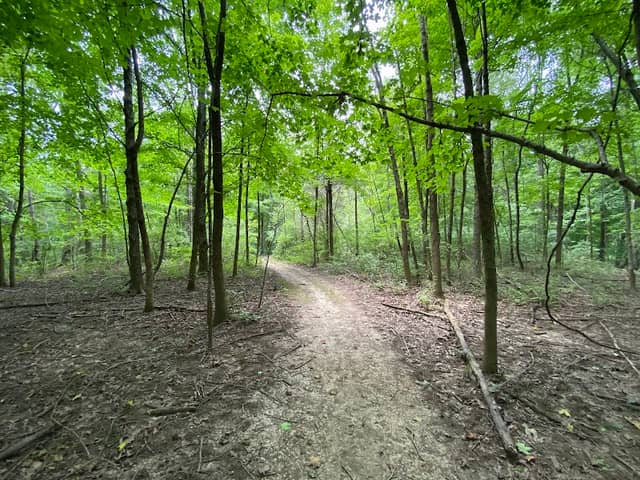 Oak Ridge Trail - Image 1