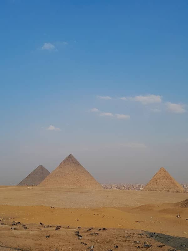 ميدان التمن دلافين - Image 1
