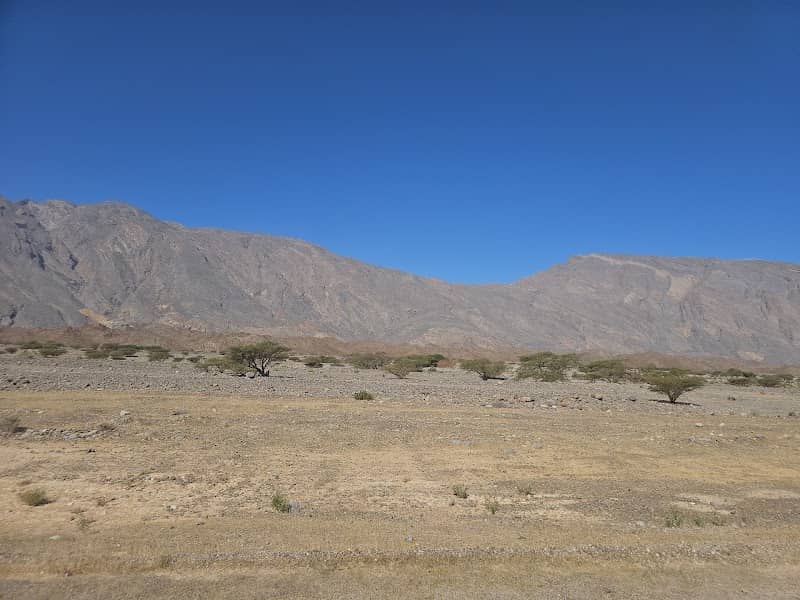 The palace of mountain view - Image 1