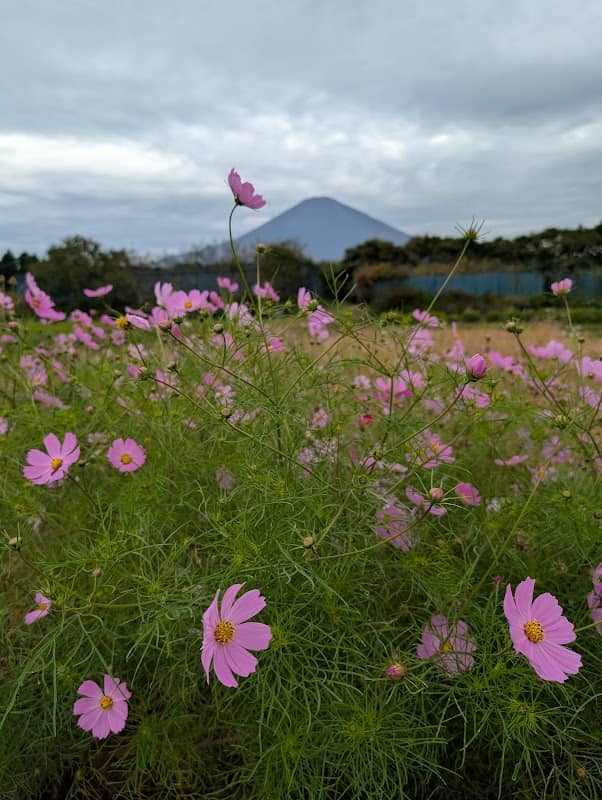 Gotemba City Yuai Park Harasato - Image 1