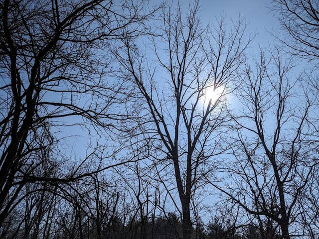 Oak Creek Parkway - Image 1