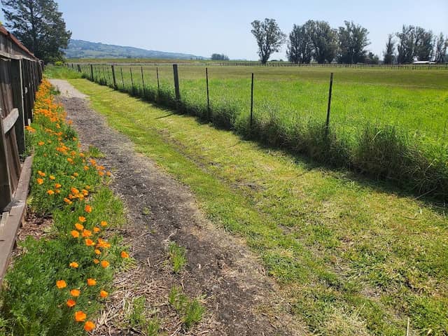 Laguna de Santa Rosa Trail - Cotati - Image 2