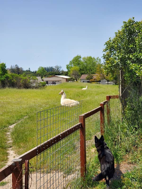 Laguna de Santa Rosa Trail - Cotati - Image 3
