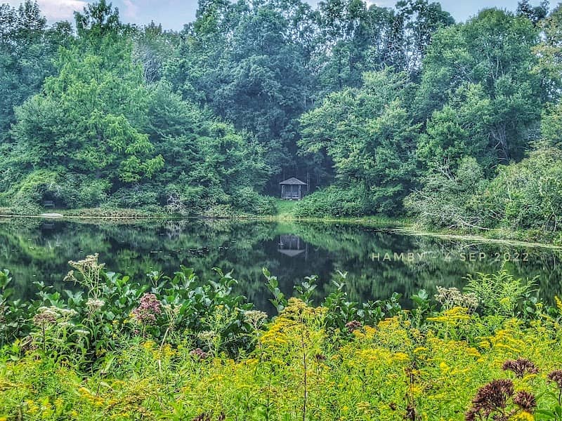 Connecticut Audubon Society at Trail Wood - Image 1