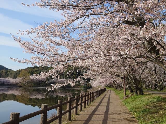 Tachioka natural park - Image 1