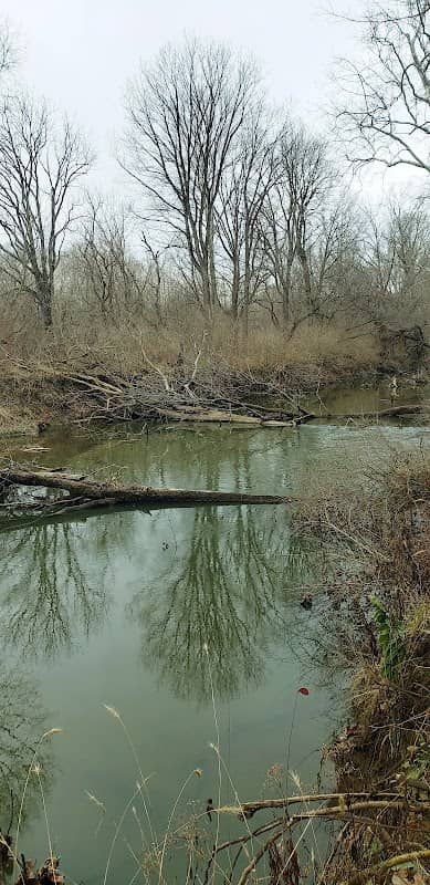 Raccoon Trail - Image 2