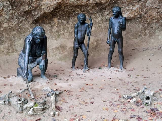 Krapina Neanderthal Museum - Image 1