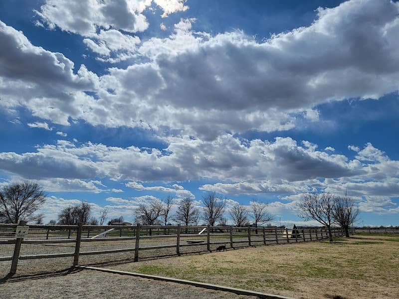 Freedom Park - Image 2