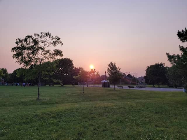 Pine Farm Park - Image 2