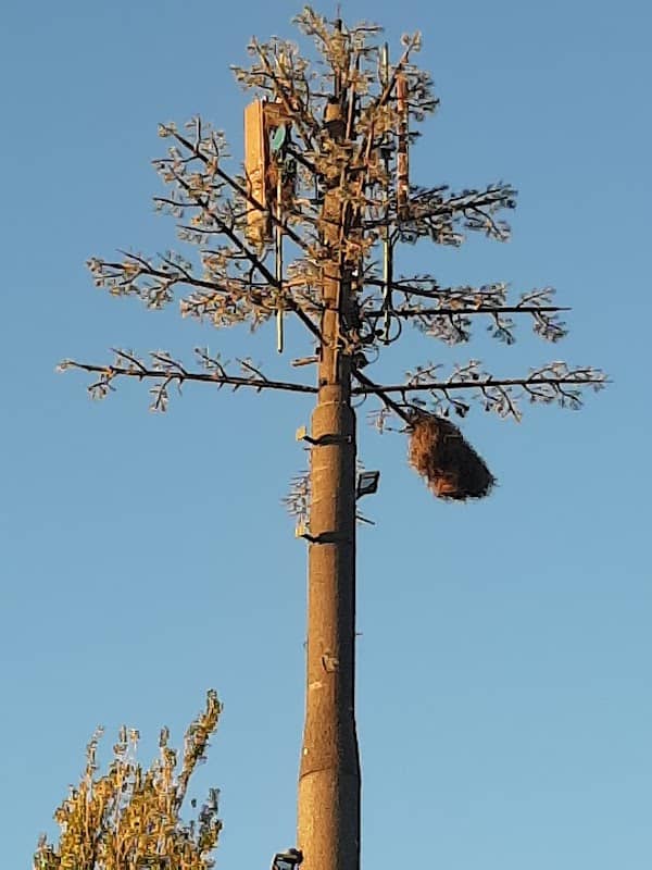 Monumento a la Antena de Telefonía Camuflada camu - Image 2