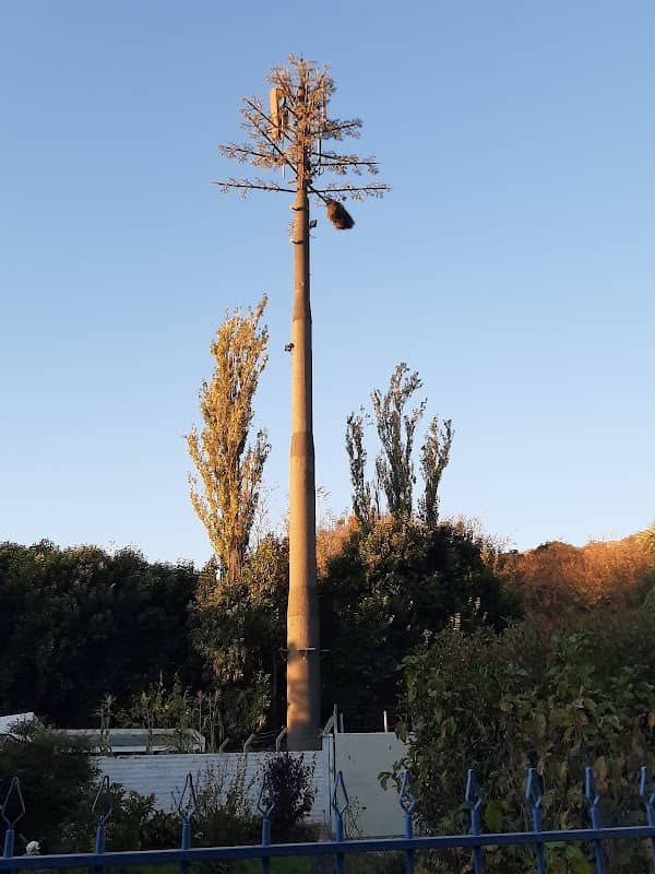 Monumento a la Antena de Telefonía Camuflada camu - Image 1