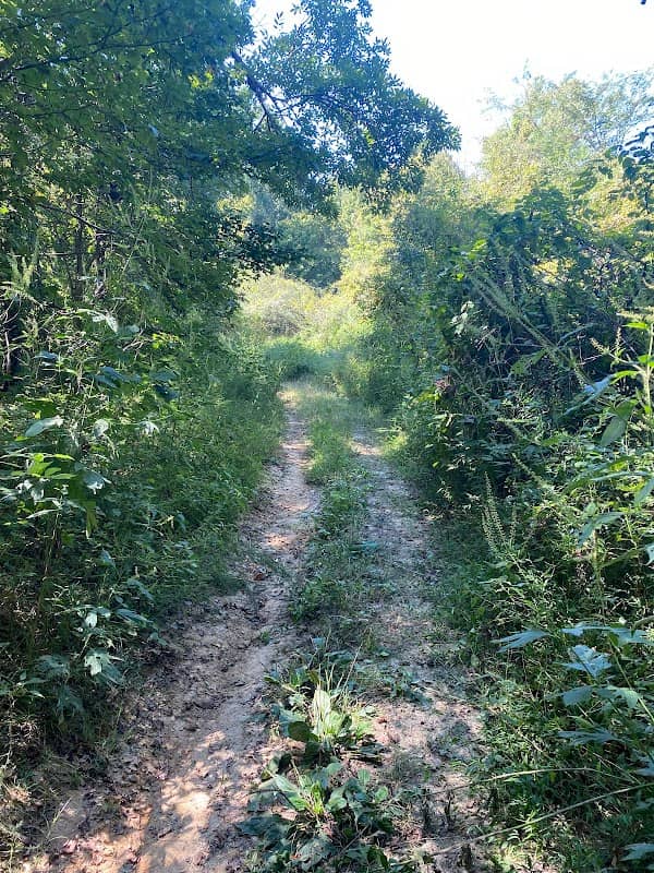 Askew Wildlife Refuge - Image 2