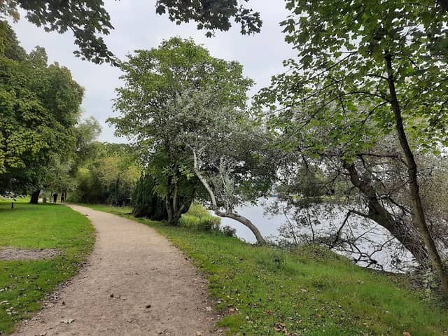 The Golden Mile - Image 1