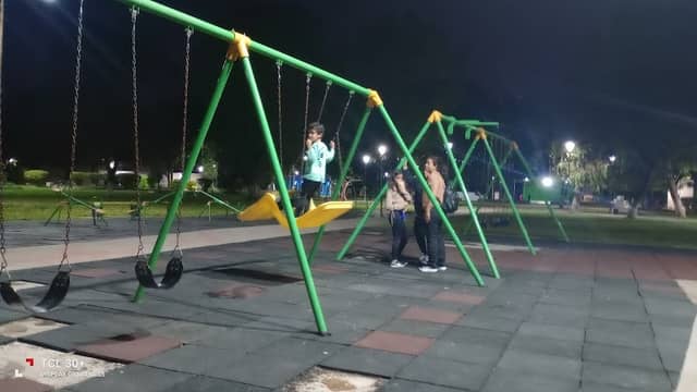 Ciervo petiso Chaco - Image 1