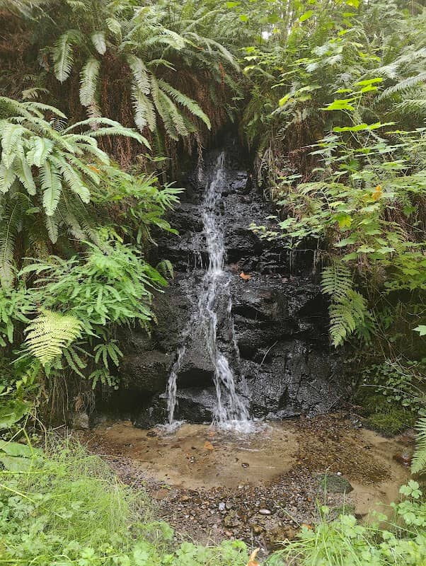 Brooklyn's waterfall - Image 2