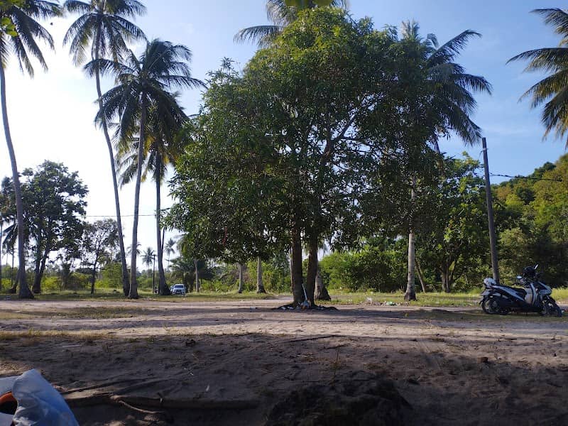Pantai Mr Adnan Salim - Image 2
