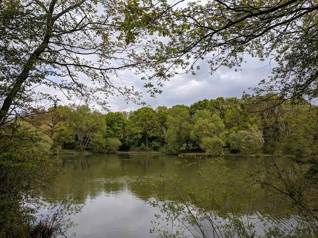 Pioneer Meadows Nature Reserve - Image 1
