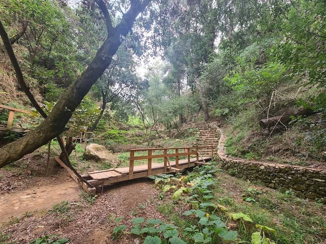 Abu Semaan Valley Nature Reserve - Image 1