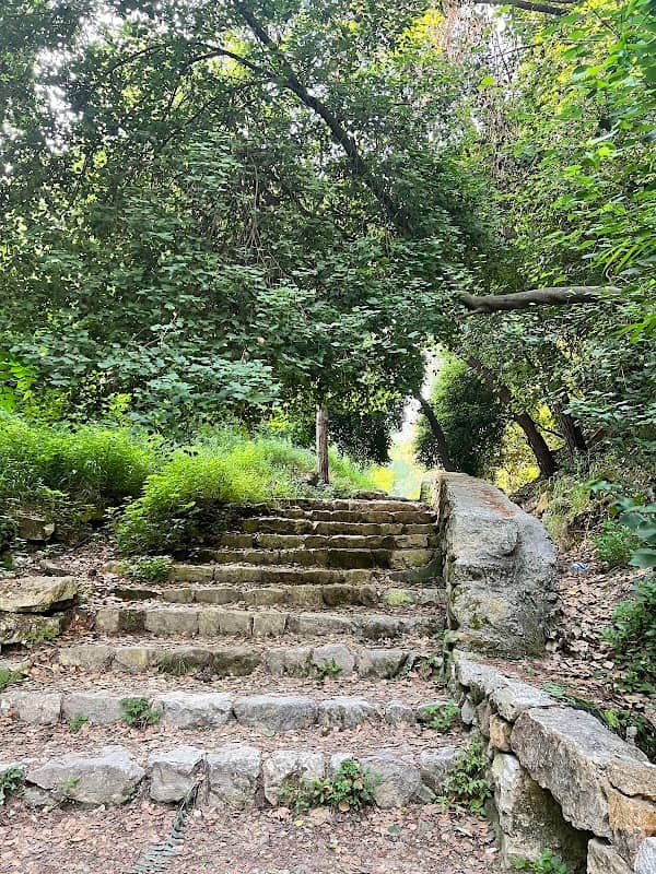 Abu Semaan Valley Nature Reserve - Image 2