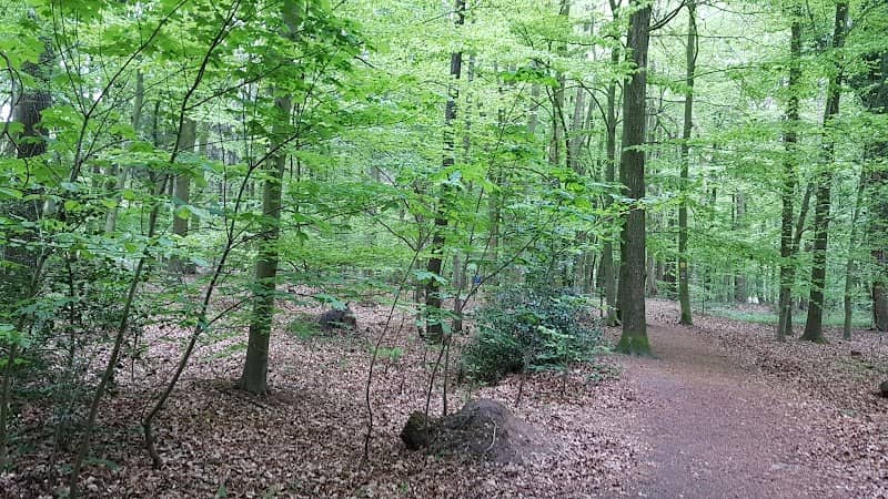 Eichholz - Image 1