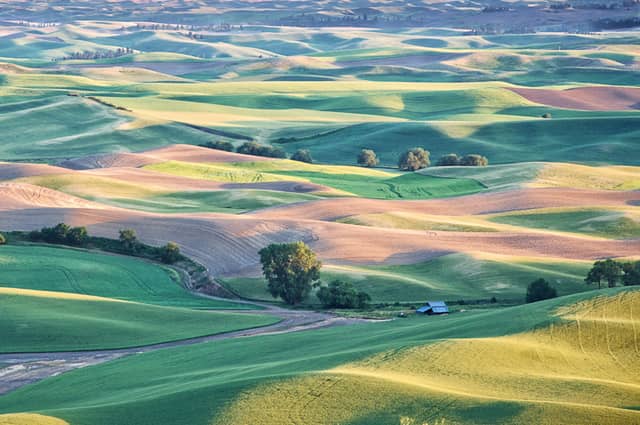 Steptoe Butte State Park Heritage Site - Image 1