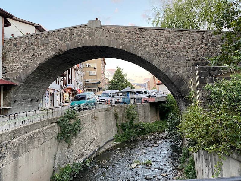 Niksar Leylekli (Serpentine) Bridges - Image 1