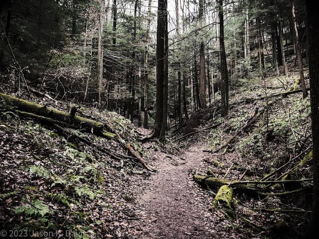 Cantwell Cliffs - Image 2