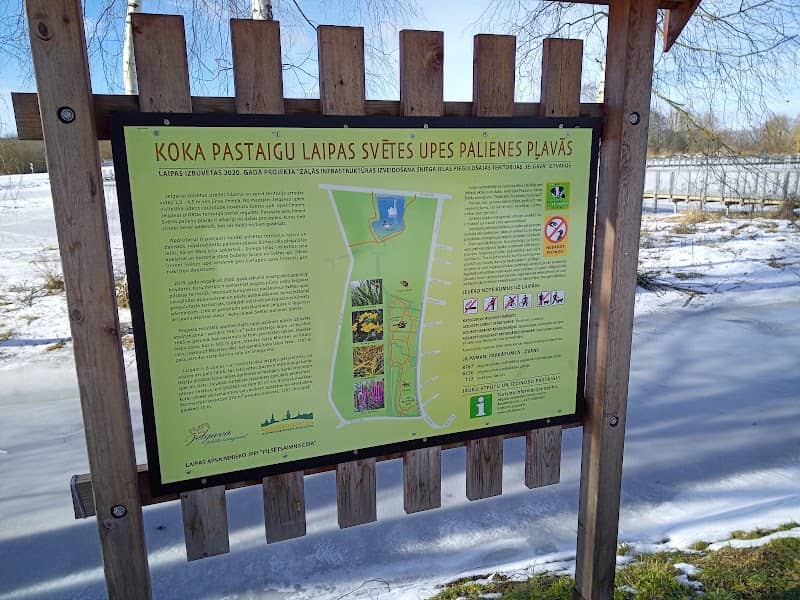 Wooden boardwalks at the flood-land meadows of the River Svēte - Image 2