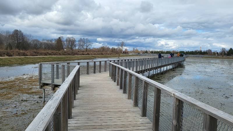 Wooden boardwalks at the flood-land meadows of the River Svēte - Image 3