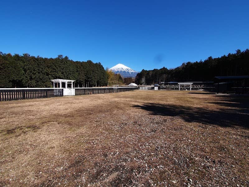 Dog Run Ishihara - Image 1