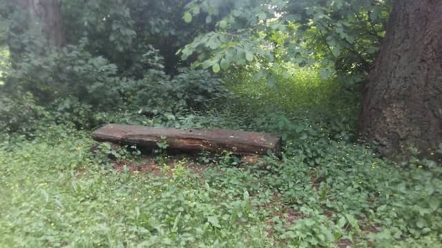Starke Natural Area - Image 1