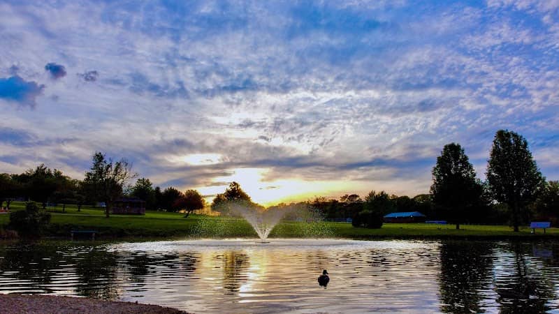 Scotland Meadows - Image 2
