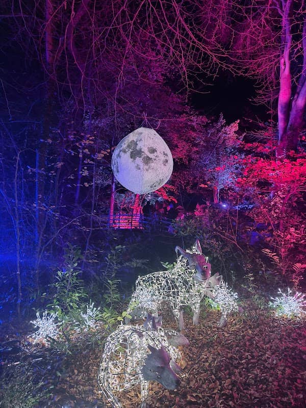 Wonderlights Marlay Park - Image 3