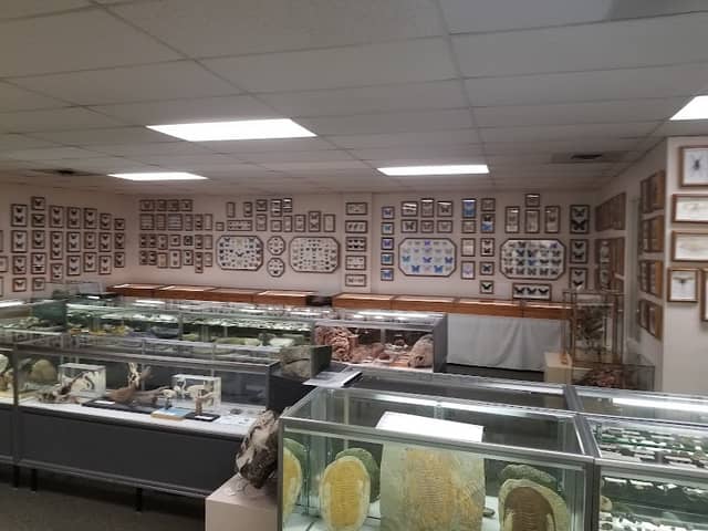 Stones 'N Bones Museum - Image 2