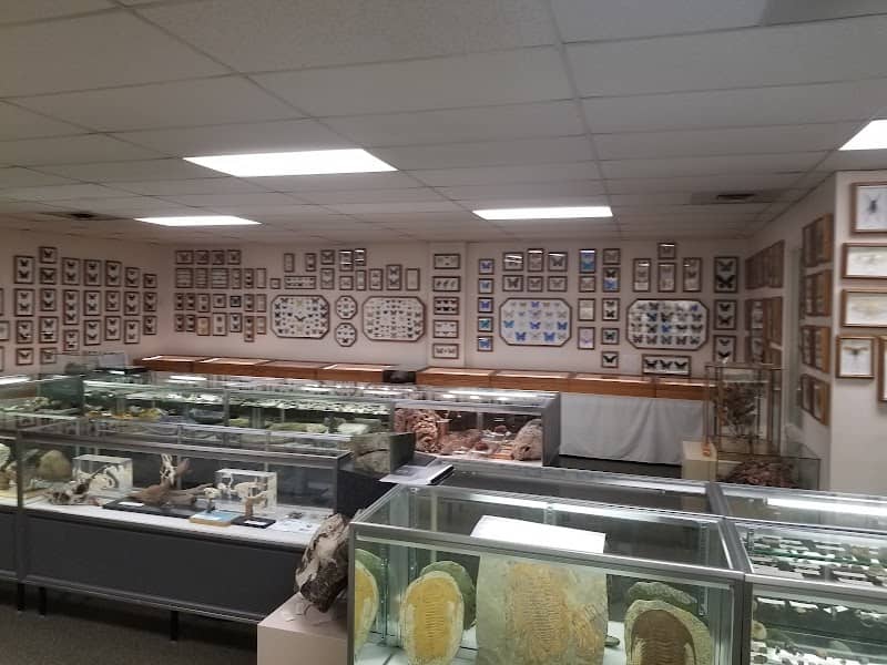 Stones 'N Bones Museum - Image 2