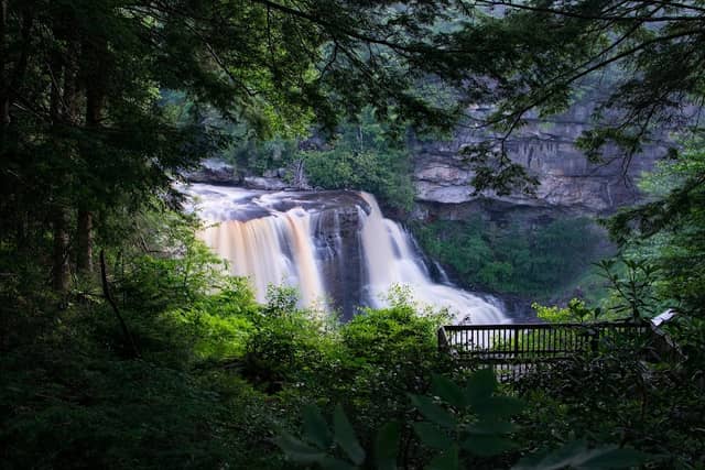 Blackwater Falls Boardwalk - Image 3