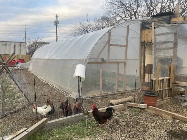 Urban Market Garden - Image 2