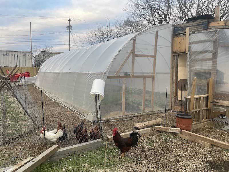 Urban Market Garden - Image 2