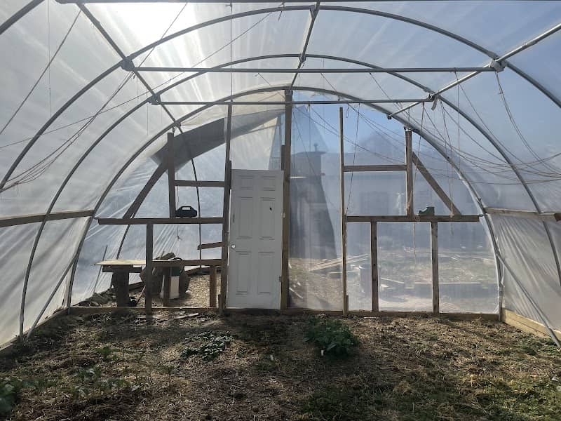 Urban Market Garden - Image 1